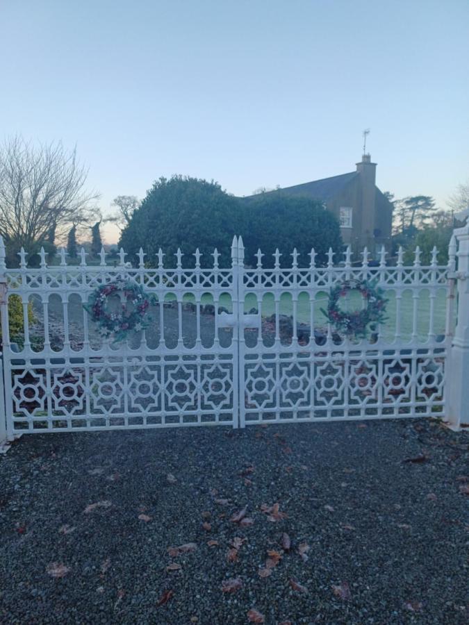 Buvinda * Drogheda